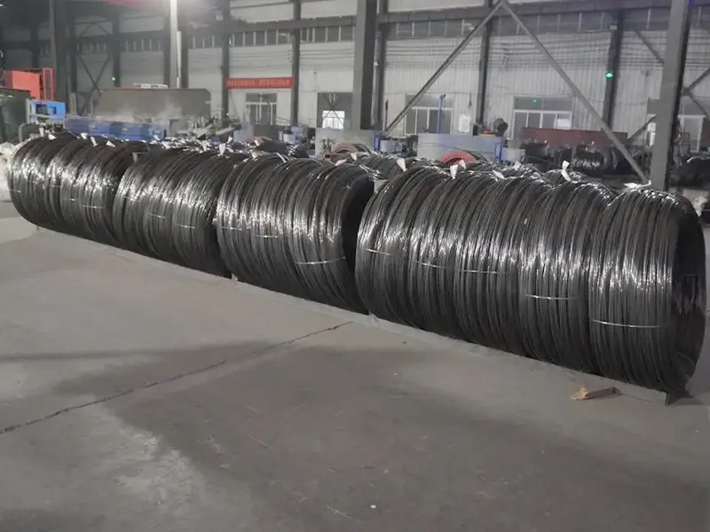 Šaltai temptas lygus kompiuterio laidas